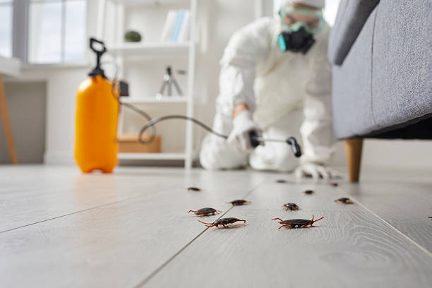 Post-Treatment Bed Bug Interceptor Monitoring in Moundville
