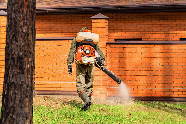 Bed Bug Clearance Verification and Documentation in Moundville